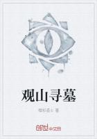 观山寻墓