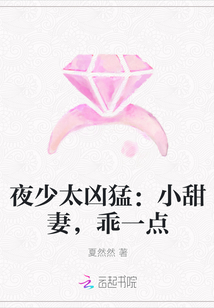 夜少太凶猛：小甜妻，乖一点