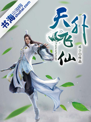 天外飞仙