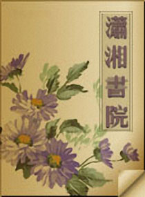 痴心总裁寻爱妻