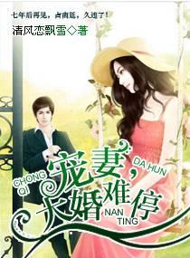 宠妻,大婚难停