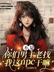 不是你们男主老找我这NPC干嘛