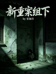 新重案组下